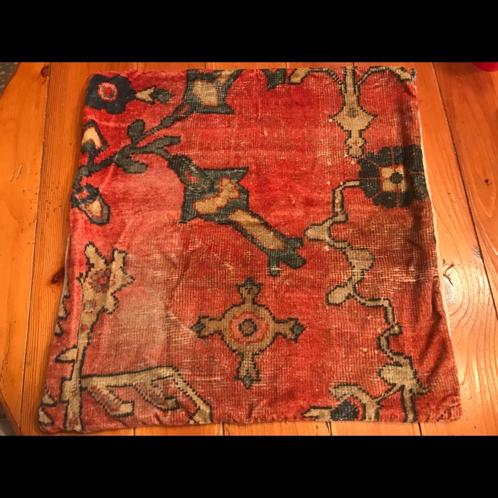 Dara Velvet Pillow cover from Potterybarn 22x22